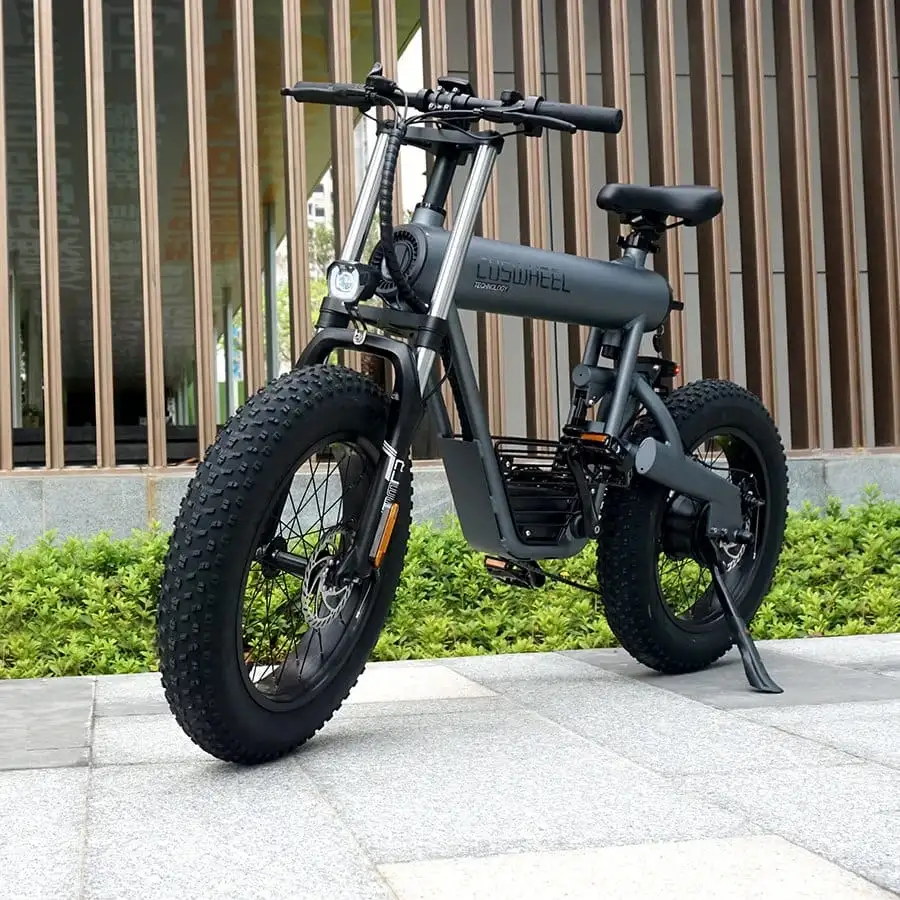 20 inch ebike