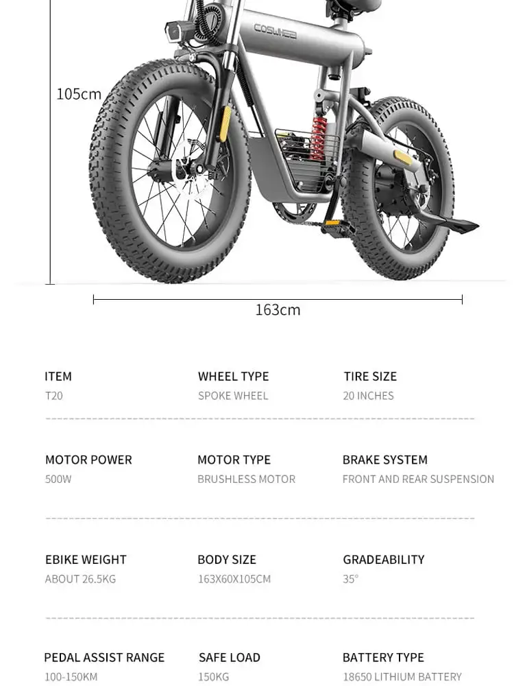 fat tire e bike detail