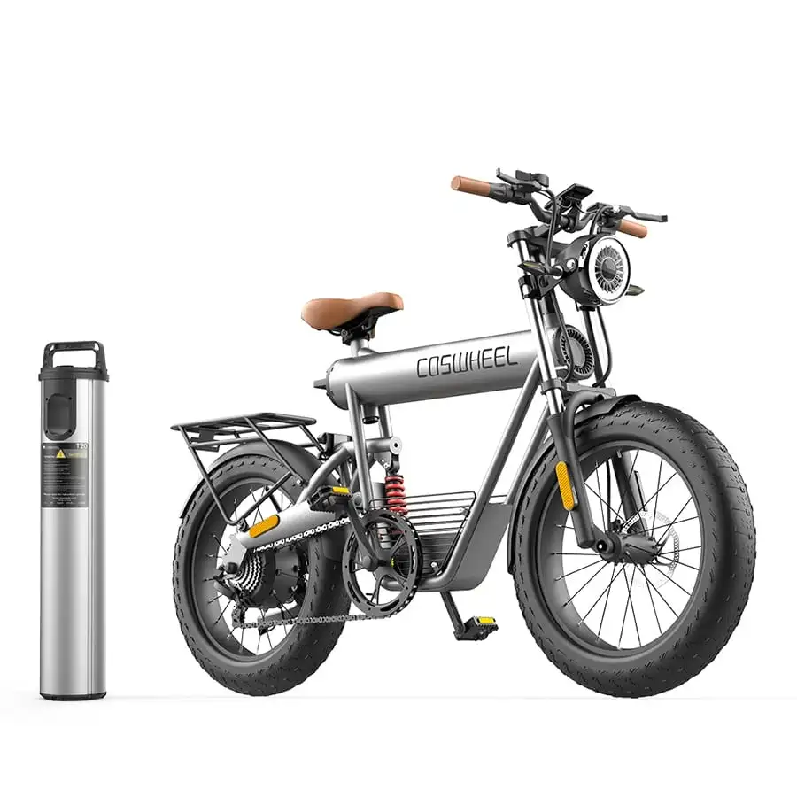 T20R ebike BATTERY