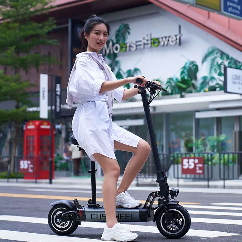 portable electric scooter