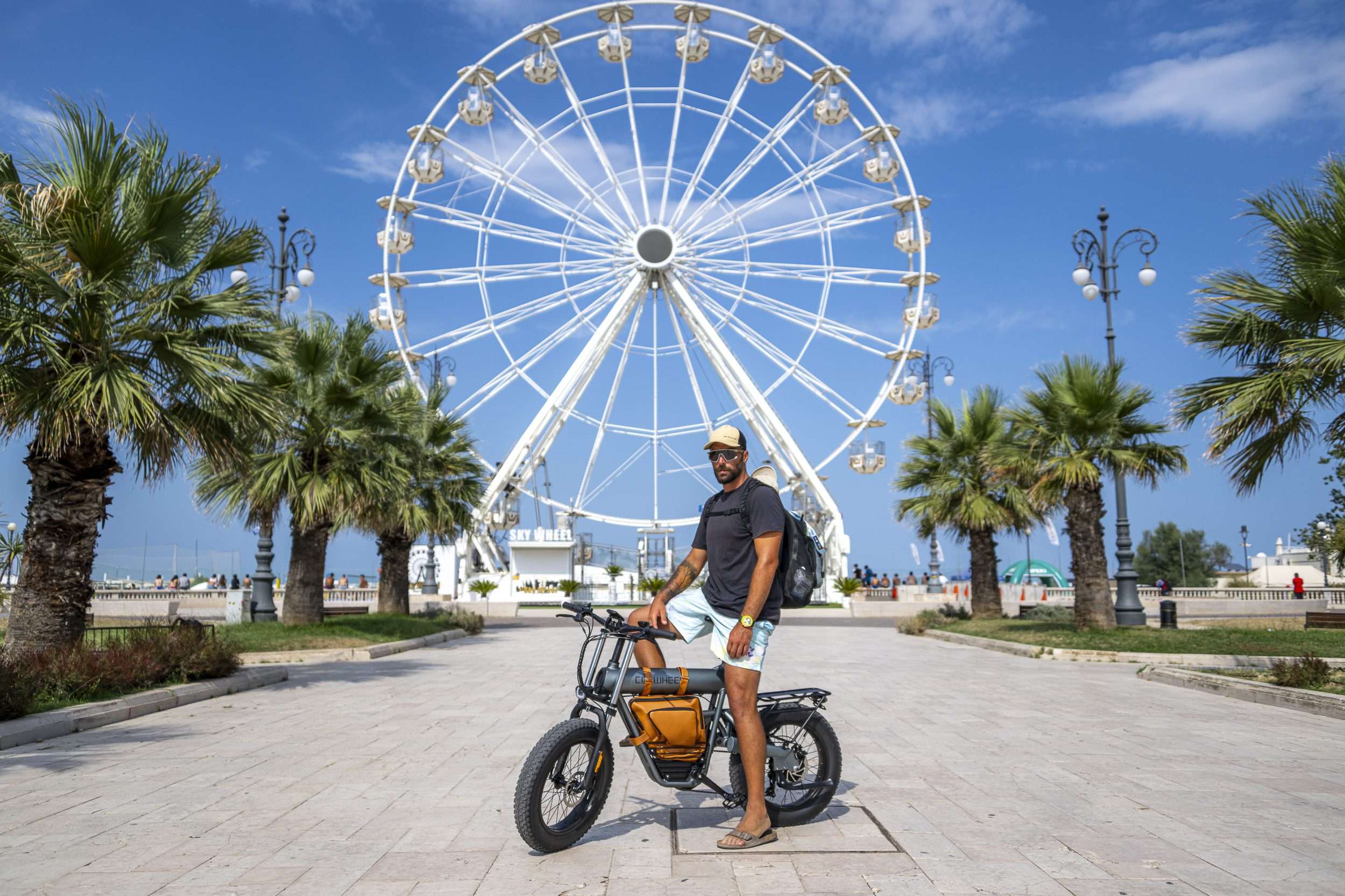 Are palm trees really trees?, image size:2500x1667