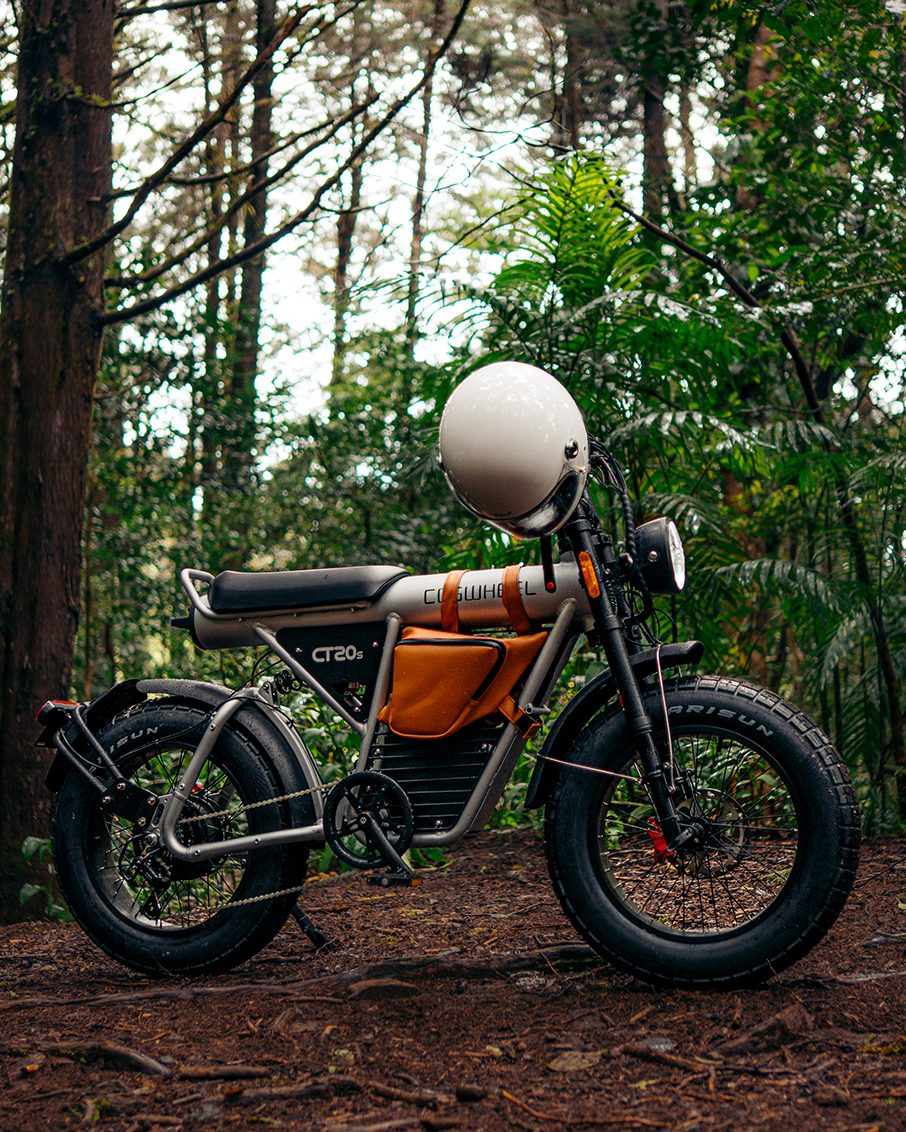 COSWHEEL CT20S Electric Bike: Redefining Mobility and Style